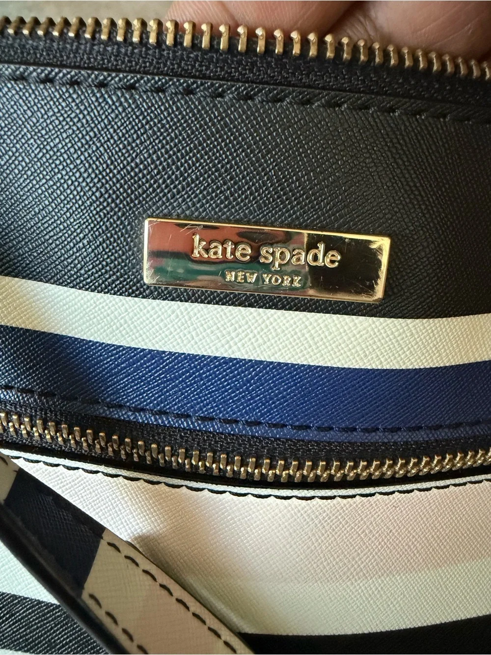 Kate Spade New York Evangelie Laurel Way Stripe Crossbody Bag Purse Blue Pink
